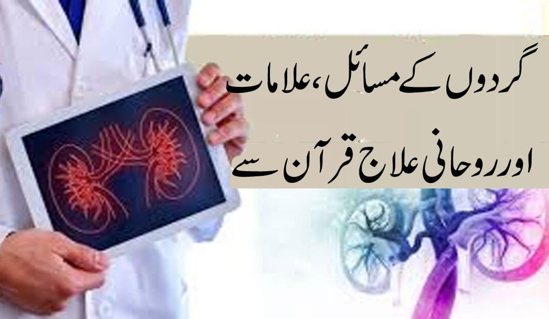 Kidney Infection And Symptoms | Kidney Disease Treatment